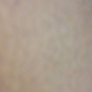 Meet your Posher, Kiraaaaaaa❤️